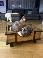 Leżanka loftowa dla psa i kota SUŁTAN – nowoczesne legowisko - Image 3